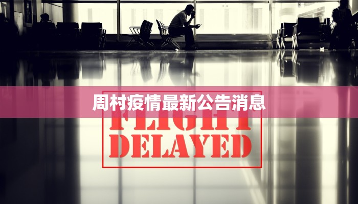 合肥高刘最新疫情封控：守护家园的温暖力量