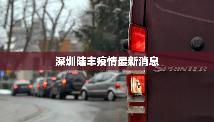 深圳陆丰疫情最新消息