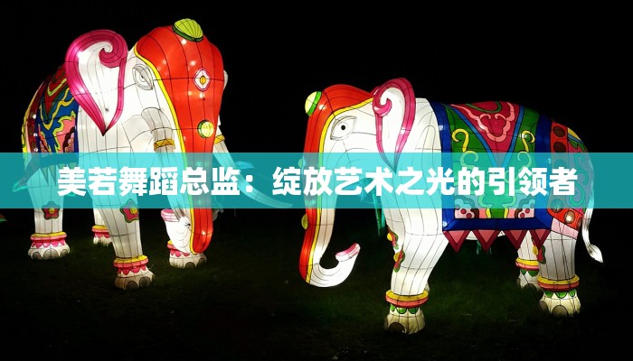 美若舞蹈总监：绽放艺术之光的引领者