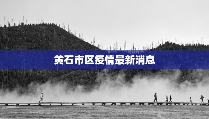 黄石市区疫情最新消息