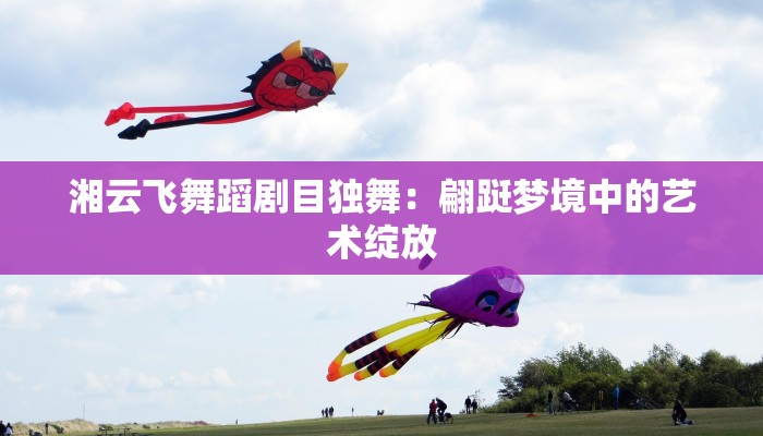 湘云飞舞蹈剧目独舞：翩跹梦境中的艺术绽放