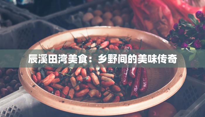 辰溪田湾美食：乡野间的美味传奇
