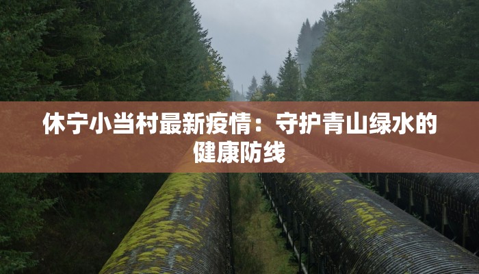 休宁小当村最新疫情：守护青山绿水的健康防线