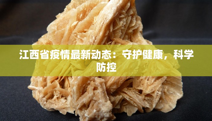 江西省疫情最新动态：守护健康，科学防控