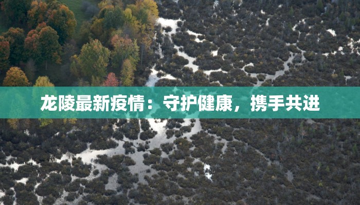 龙陵最新疫情：守护健康，携手共进