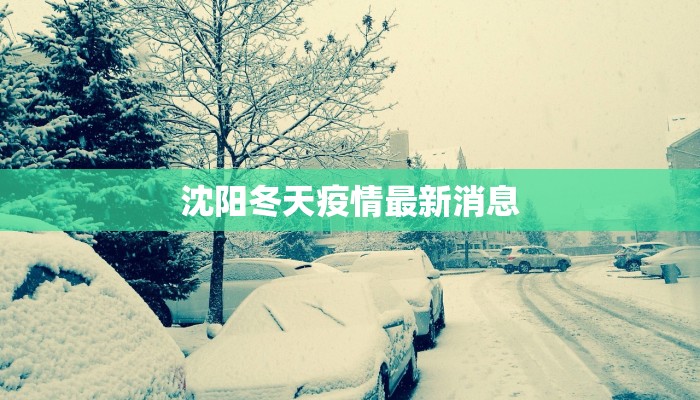 郑州抗疫新篇章：守护家园，携手共进