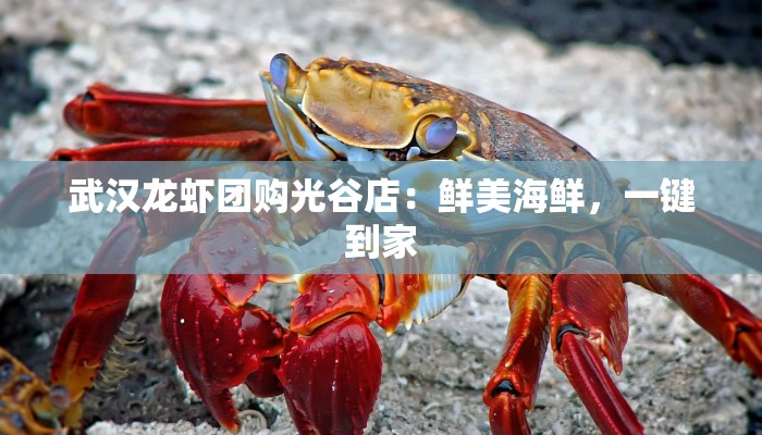 武汉龙虾团购光谷店：鲜美海鲜，一键到家