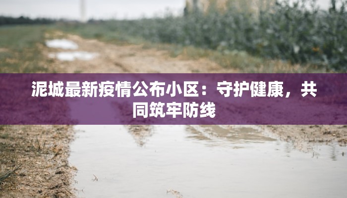 泥城最新疫情公布小区：守护健康，共同筑牢防线