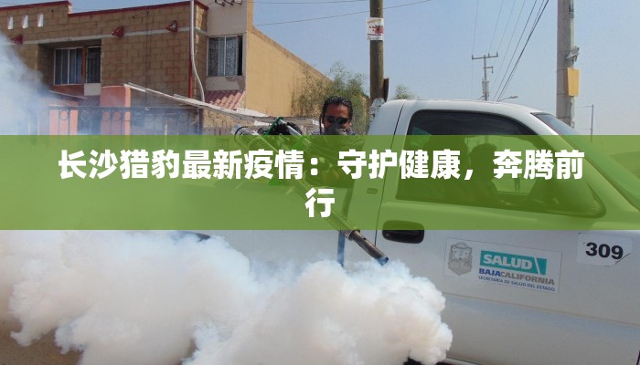 辽宁最新疫情境外输入：守护家园的坚实防线