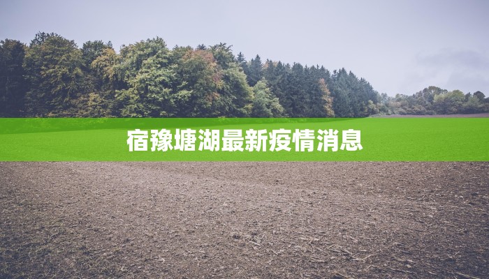 宿豫塘湖最新疫情消息