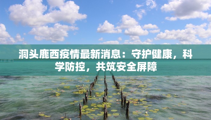 洞头鹿西疫情最新消息：守护健康，科学防控，共筑安全屏障