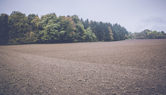 虎门疫情最新封村信息