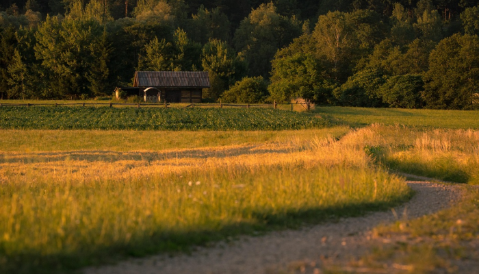 云南旅游被砍：美景之外的防坑与安心指南