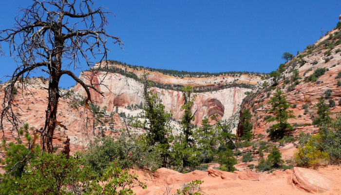 最新的全国疫情表格:一表掌握疫情全局 最新的全国疫情表格:一表掌握疫情全局