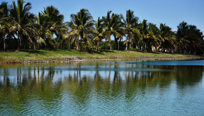 滁州周边游玩团购群——轻松拼出高性价比的周末旅行