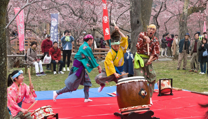 最炫民族风日本的舞蹈 最炫民族风日本的舞蹈