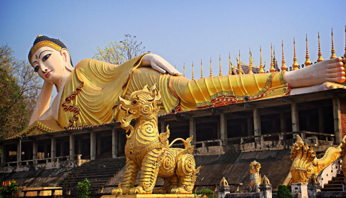 带老人去成都旅游攻略 带老人去成都旅游攻略