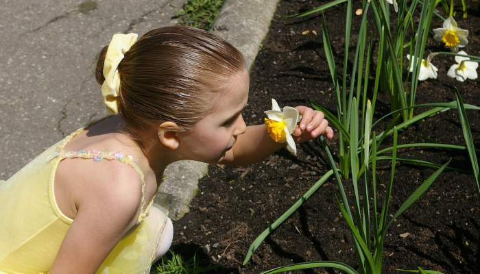 少儿舞蹈小草：让孩子像小草一样自在生长