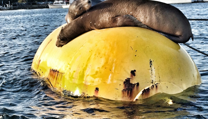 藻溪最新疫情防控 藻溪最新疫情防控