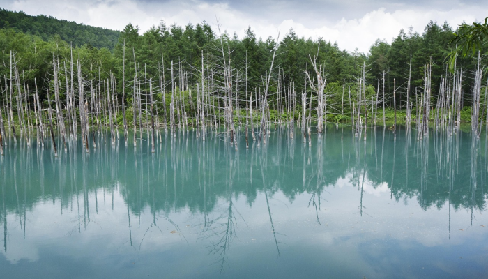 七里河杨家桥最新疫情——社区的守望与温情