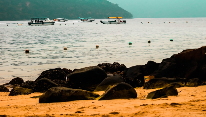 阳山岛旅游攻略 阳山岛旅游攻略
