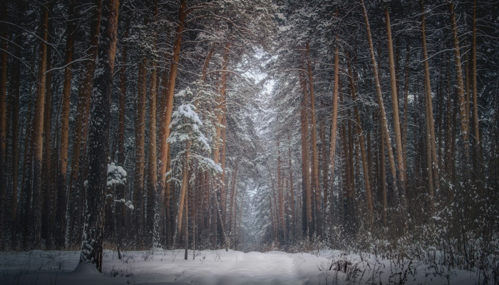 最新川汇区疫情通知——同在一座城,守望相助的新篇章 最新川汇区疫情通知——同在一座城,守望相助的新篇章