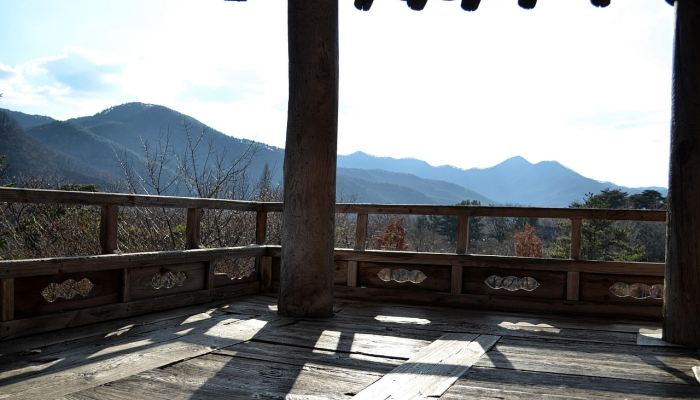 郑州旅游景区分布：一座城市的历史与活力如何串起你的旅程