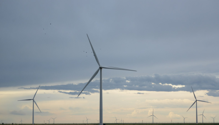 重庆大风最新疫情：城市的抗风力与温情守望