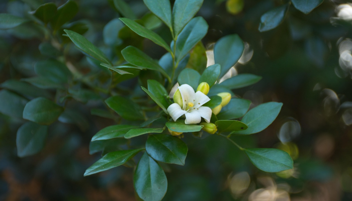 东莞监所疫情最新动态